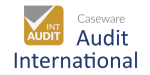 CaseWare Audit International